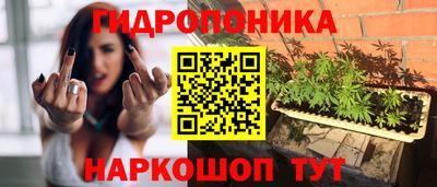 гашиш Канаш