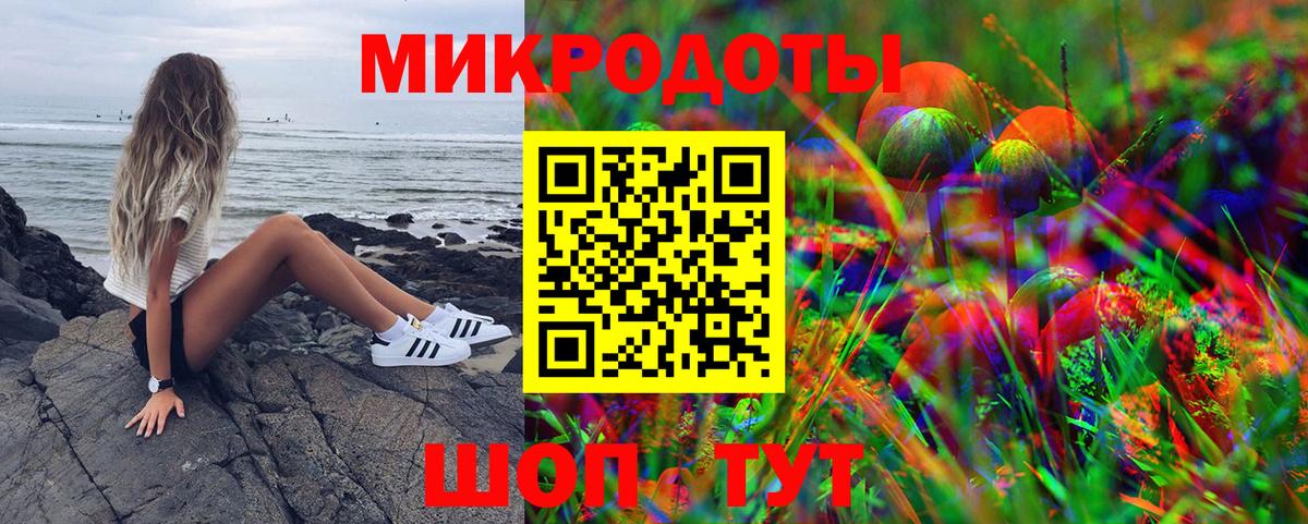 Псилоцибиновые грибы Cubensis Людиново
