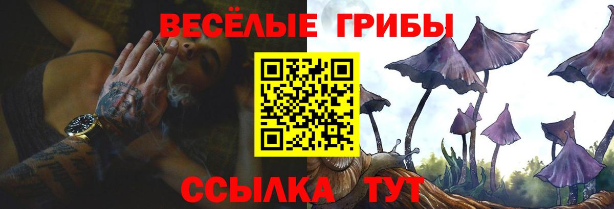 где можно купить наркотик  Галлюциногенные грибы Cubensis  Вход с VPN  Людиново 
